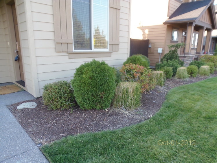 well maintained landscape