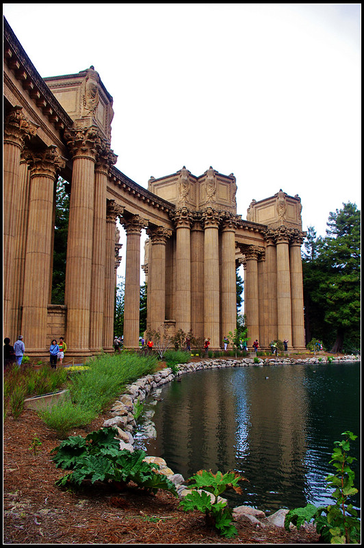 IMGP0921_1.jpg