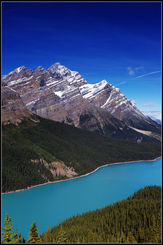 IMGP9712_1.jpg