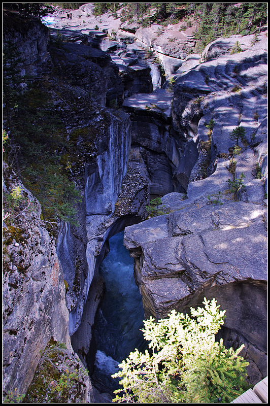IMGP9771_1.jpg