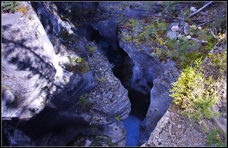 IMGP9772_1.jpg