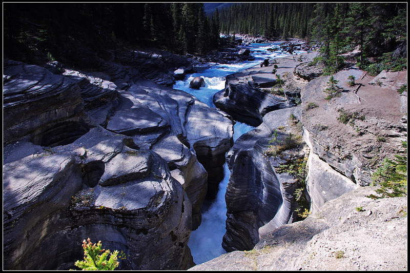 IMGP9779_1.jpg