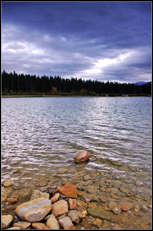 IMGP0011_1.jpg