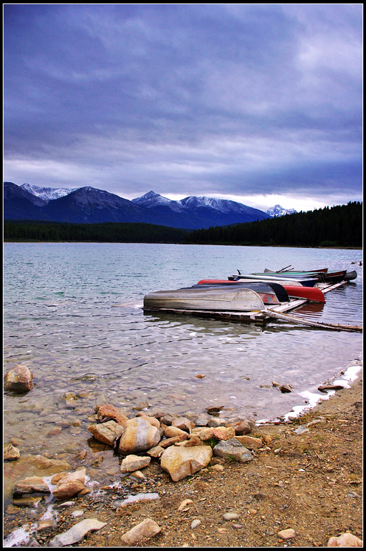 IMGP0012_1.jpg