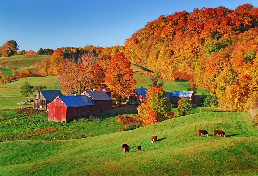 61 Jenne Farm Vermont.jpg