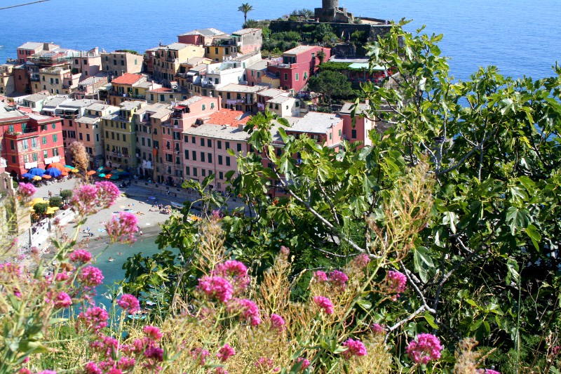 Cinque Terre. Vernazza.