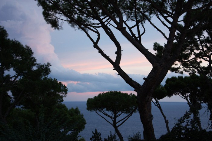 Capri by Night