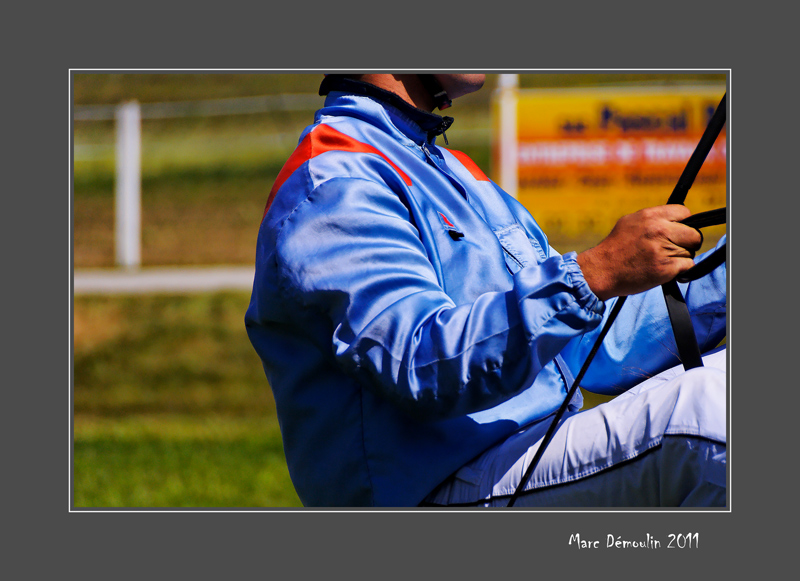 A day at the races