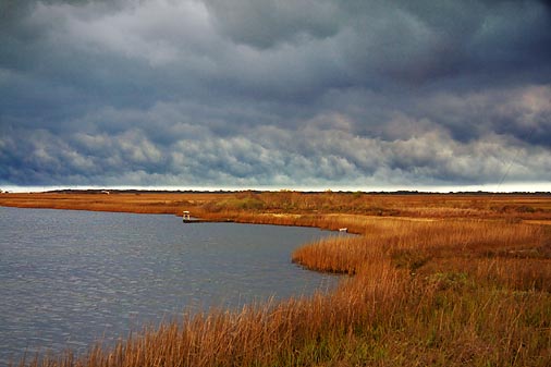 Storm Over Wetlands 33036