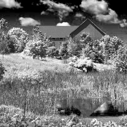 Barn & Pond 149346 (faux IR)