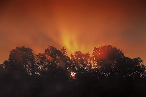 Sunrise Sunrays 20090831
