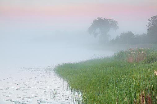 Foggy Otter Creek 17266