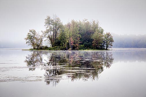 Lower Rideau Lake Island 20525