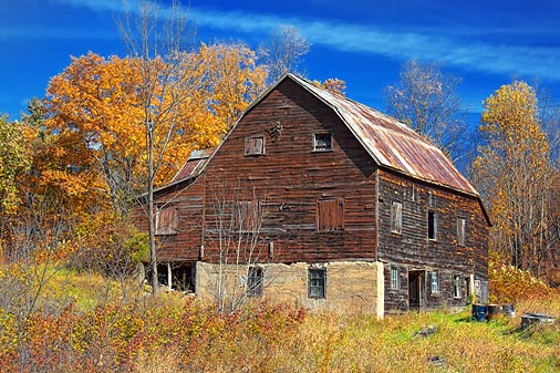 Autumn Barn 24052