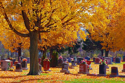 Autumn Cemetery 20101016