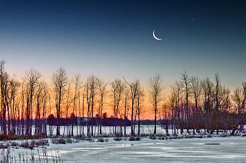 Moon Over Trees 06606-8