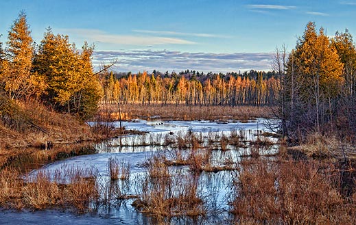 Wetlands At Sunrise 08046