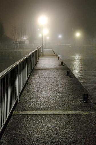Foggy Walkway 08563-5