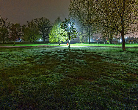 Park At Night 00274