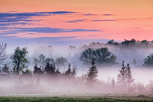 Fog At Sunrise 23682-3