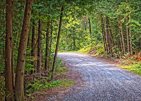 Ken Reid Conservation Area 20120715