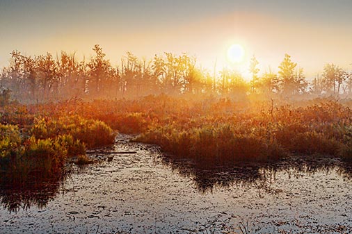 Foggy Swale Sunrise 25824
