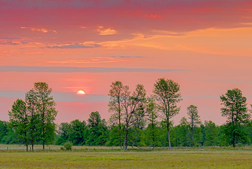 Sylvan Sunrise 20120817