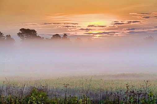 Misty Sunrise 26787