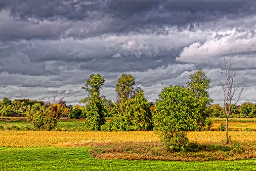 First Day Of Autumn 20120922
