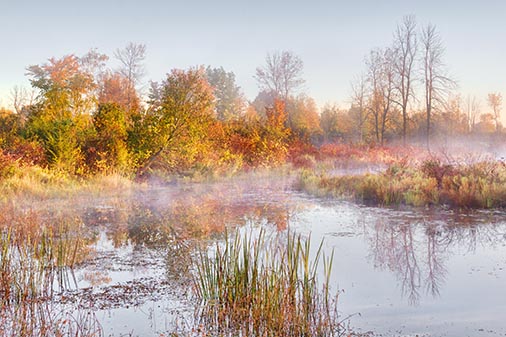 Hutton Creek At Sunrise 28313