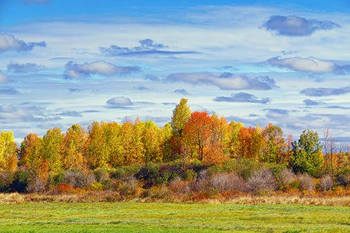Autumn Landscape 20121001