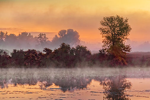 Sunrise Mist 28726-8