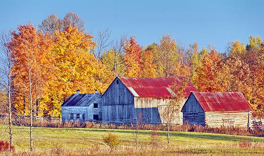 Autumn Barns 20121018