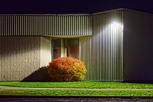 Red Bush At Night 29980-91