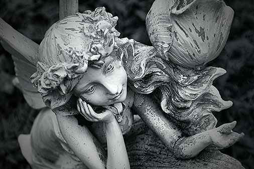 Nymph 20121111