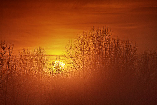 Foggy Sunrise 20121204