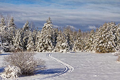 Snowscape 32497