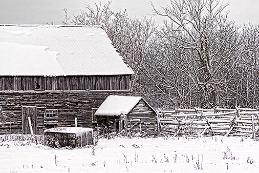 Winter Barnyard 32406
