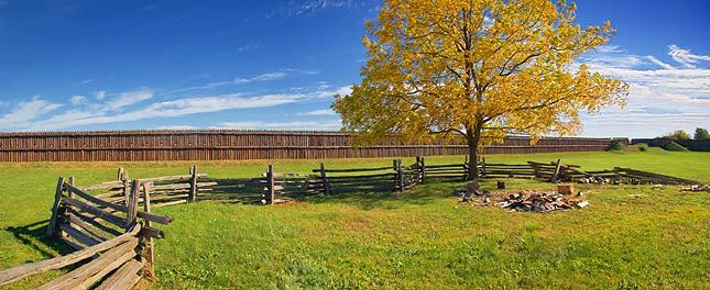 Woodyard Panorama 70174-6