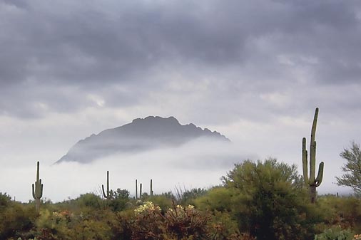 Desert Fog 20071210