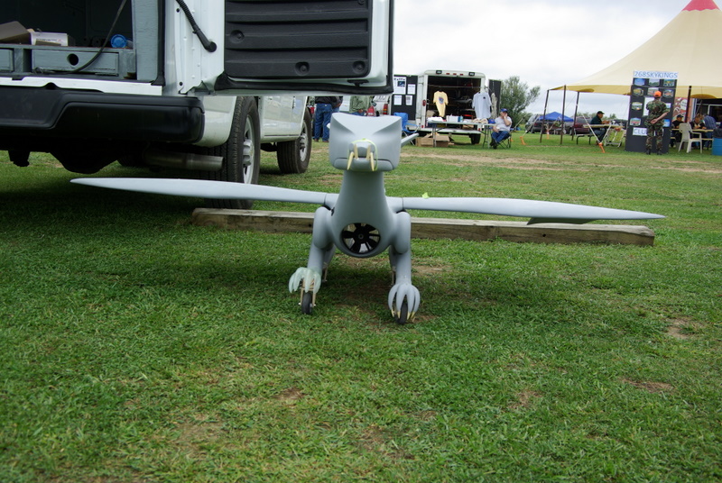 IMGP3714.JPG