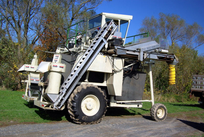 4 The Grape Picker - Oct 2007.JPG