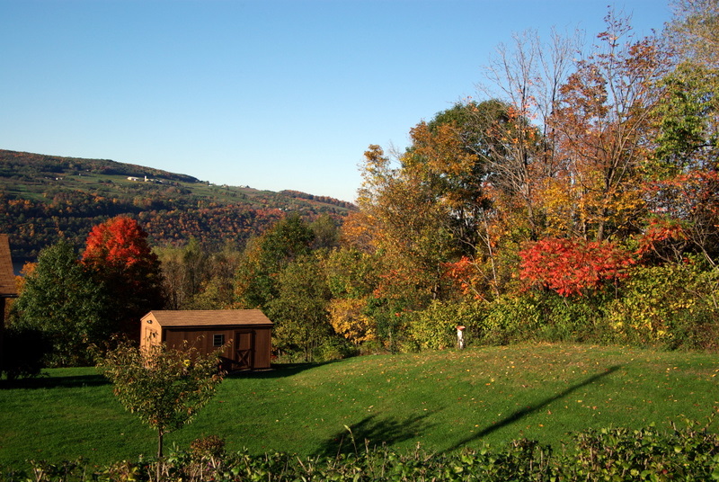 Colourful Back Yard - Oct 2007 .JPG