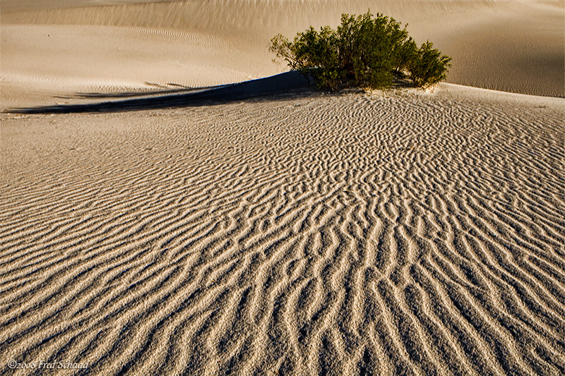 Ripples at the Dunes