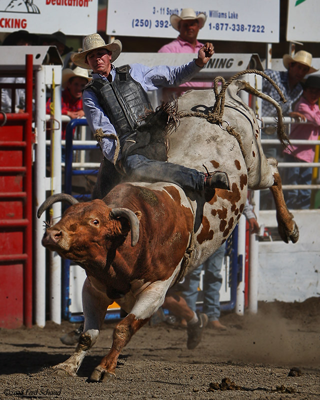 Bull Rider