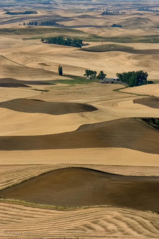 Rolling Prairie of the Palouse