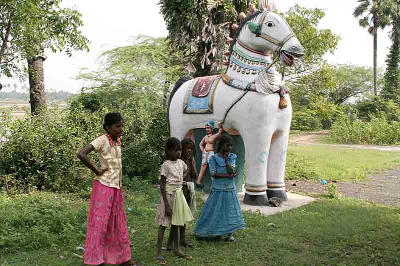 Ayyanar temple near Chidambaram. http://www.blurb.com/books/3782738