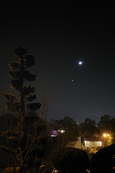 The Young Moon and Venus