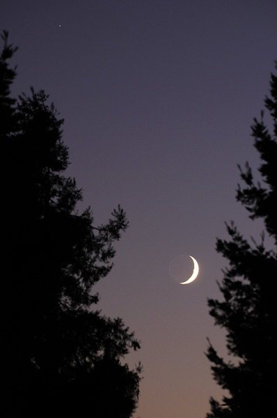 Setting Crescent Moon