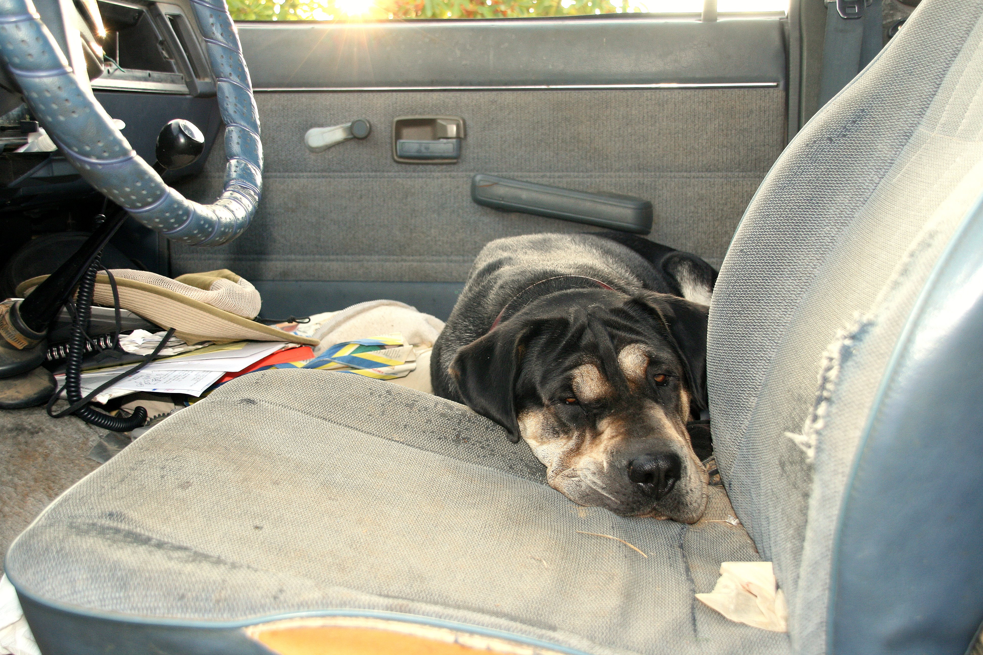 Gus got bored with it all